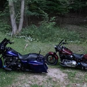 Meet your Posher, Donna